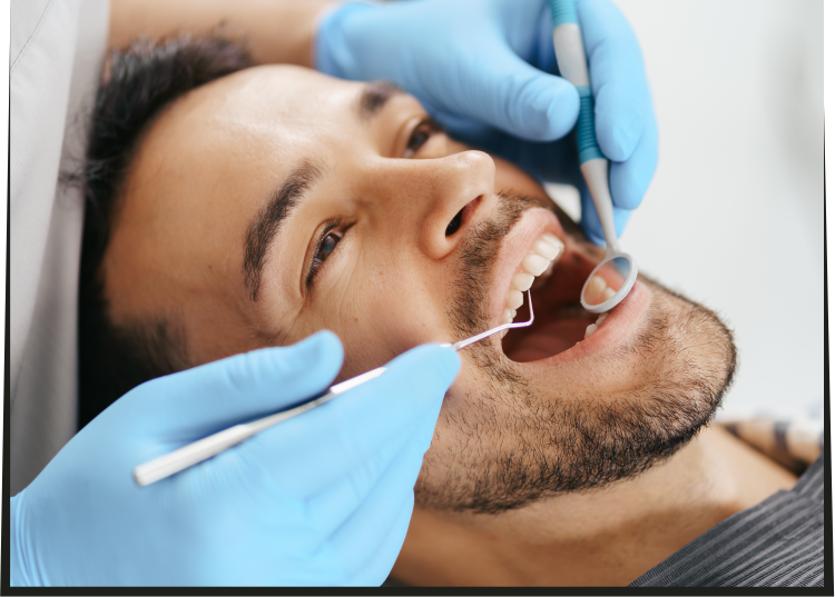 Periodontia